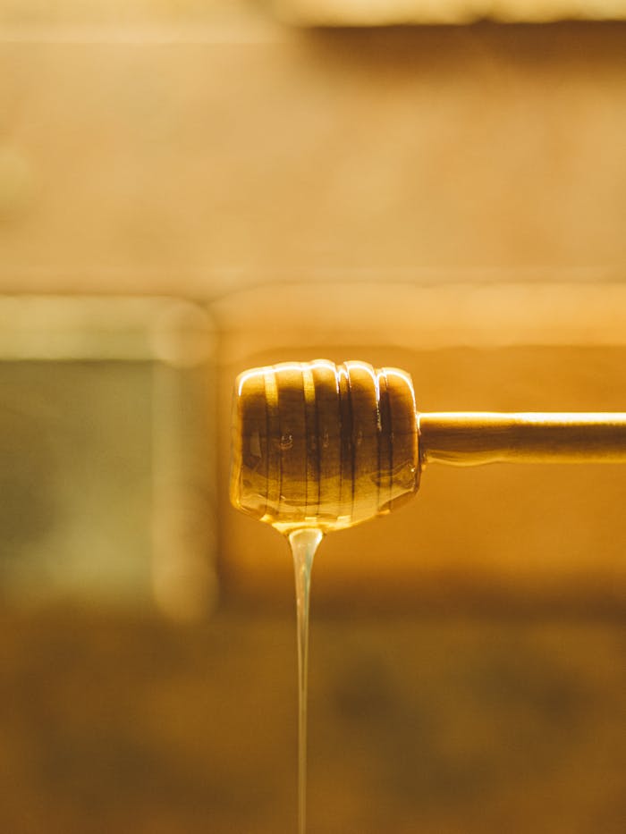 Traditional wooden dipper spoon with natural liquid appetizing honey in farm in sunny morning